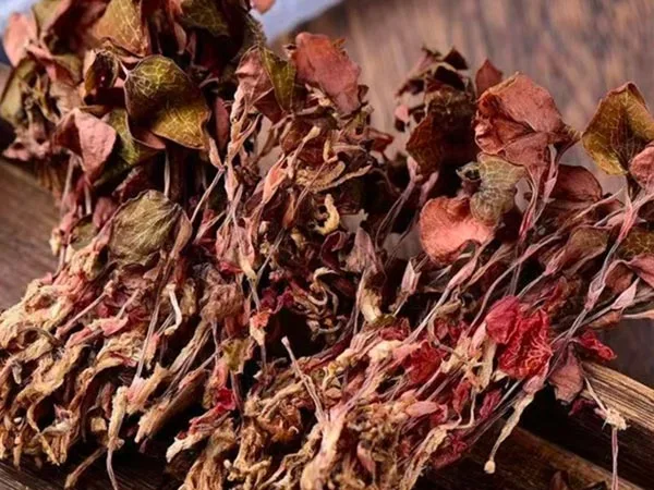 Super Grade Dried Anoectochilus Roxburghii saapuu erikoismarkkinoille