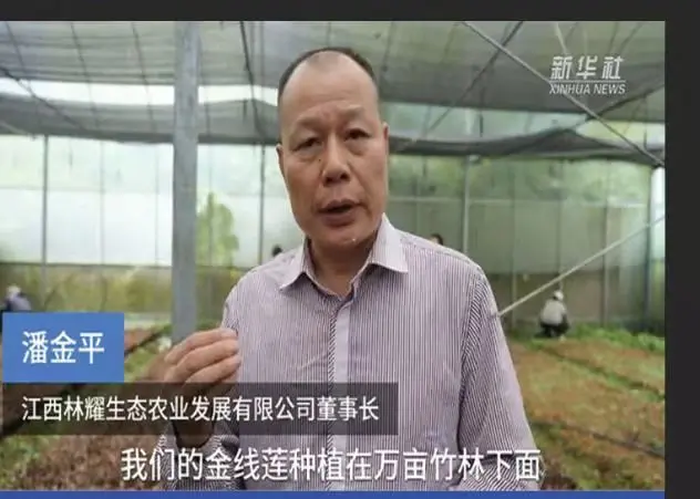 Pan Jinping, Jiangxi Linyao Ecological Agriculture Development Co., Ltd.:n puheenjohtaja, haastatteli Xinhua News Agency